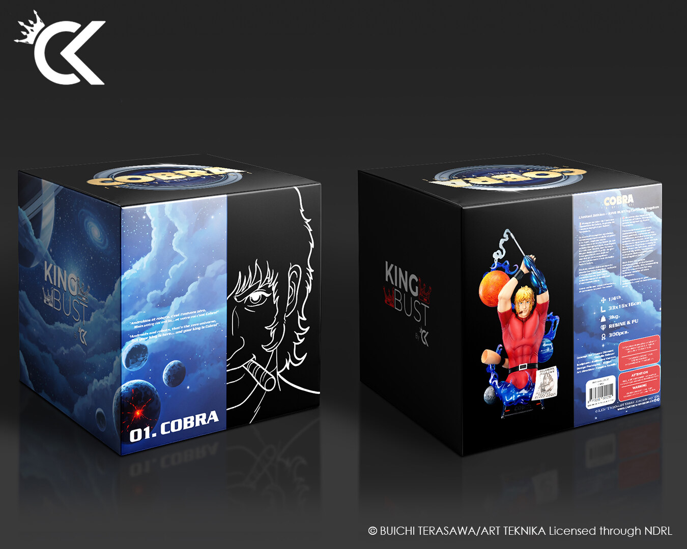 COBRA : Réalisation du packaging
